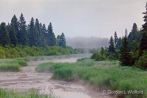 Misty Foggy Marsh_02329-30.jpg - Photographed on the north shore of Lake Superior near Wawa, Ontario, Canada.